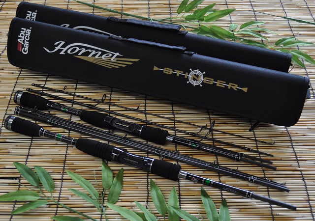 2012�N6��13�����׏��