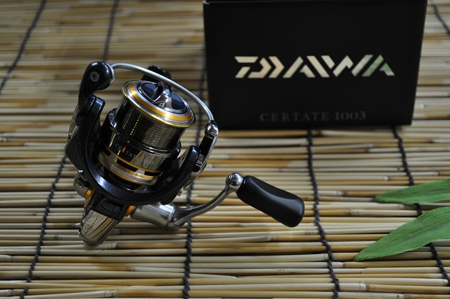 2012�N12��13�����׏��