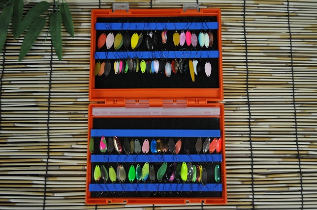 2013年6月3日入荷情報