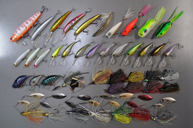 2013�N8��11�����׏��