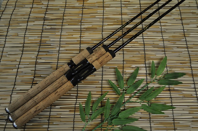 2013�N8��17�����׏��