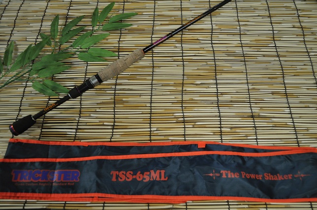 2013�N8��19�����׏��