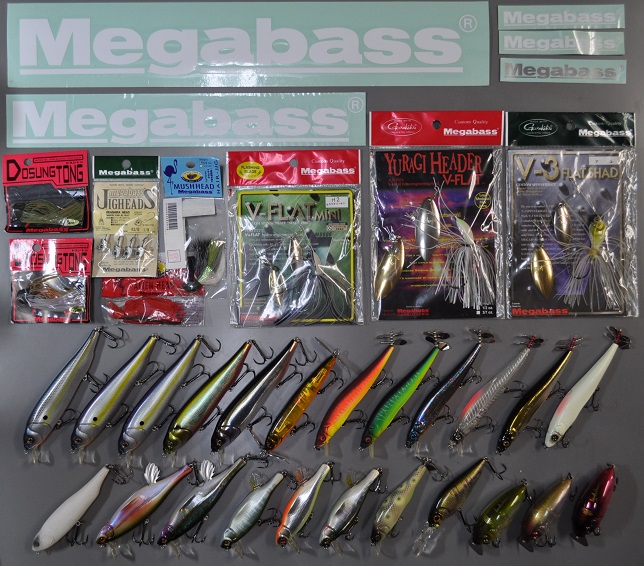 2013�N8��21�����׏��