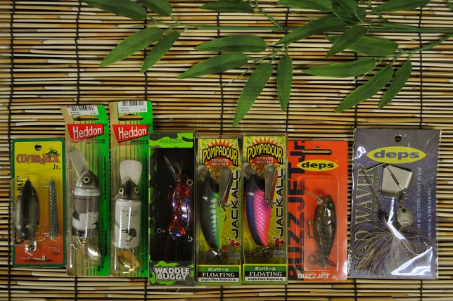 2013�N8��24�����׏��