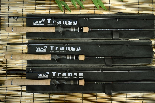 2013�N8��29�����׏��