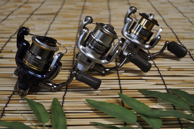 2013�N10��3�����׏��