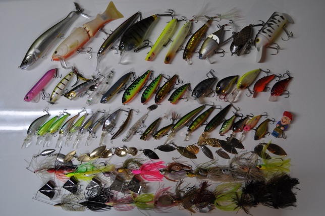 2014�N8��14�����׏��