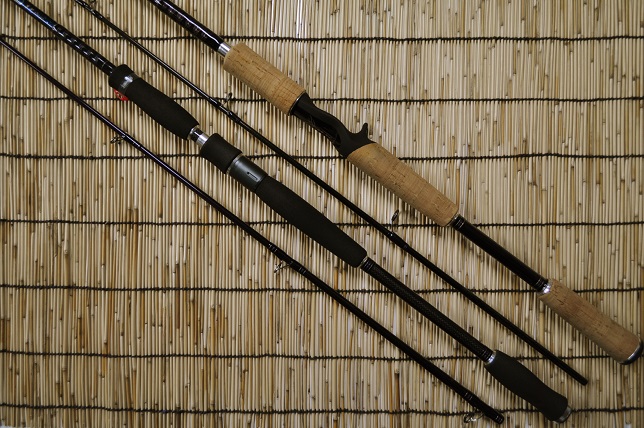 2015�N1��19�����׏��