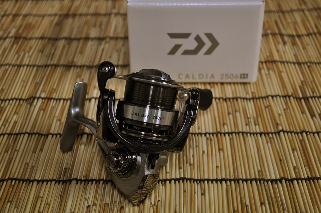 2015�N2��11�����׏��