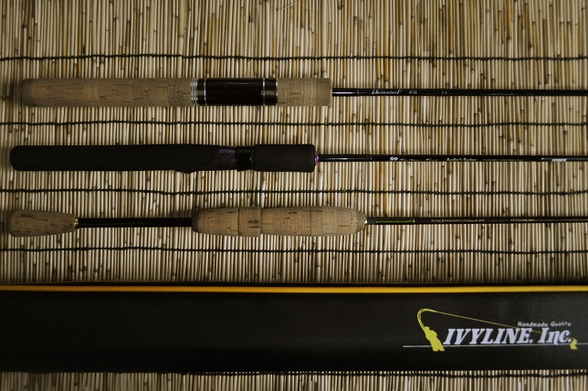 2015�N2��13�����׏��