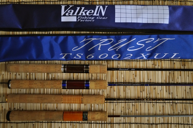 2015�N3��8�����׏��