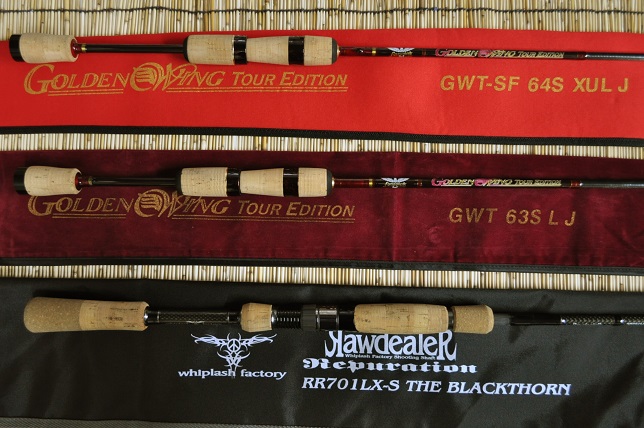 2015�N3��11�����׏��