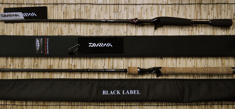 2015�N3��18�����׏��