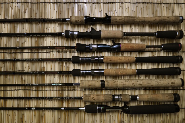 2015�N6��1�����׏��