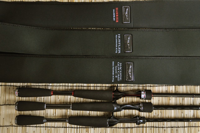 2015�N6��12�����׏��