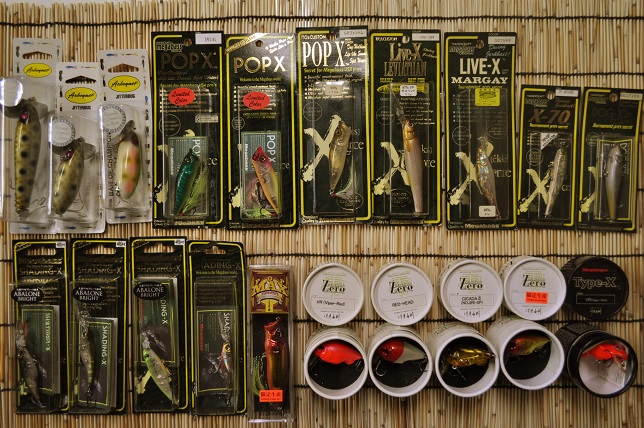 2015�N6��13�����׏��