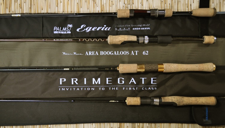 2015�N8��22�����׏��