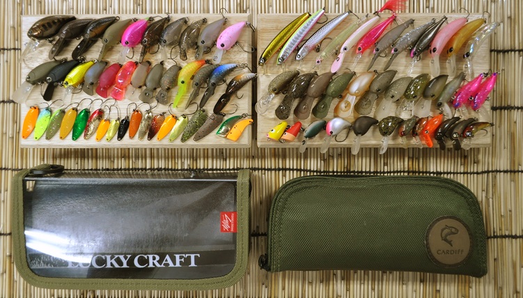 2015�N8��23�����׏��