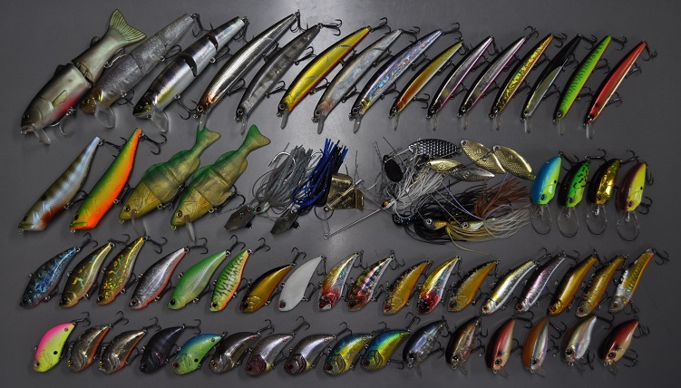 2016年1月31日入荷情報