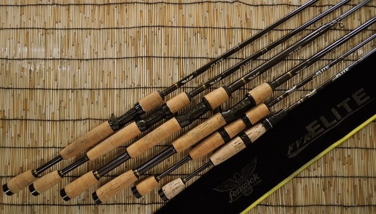 2016年6月1日入荷情報