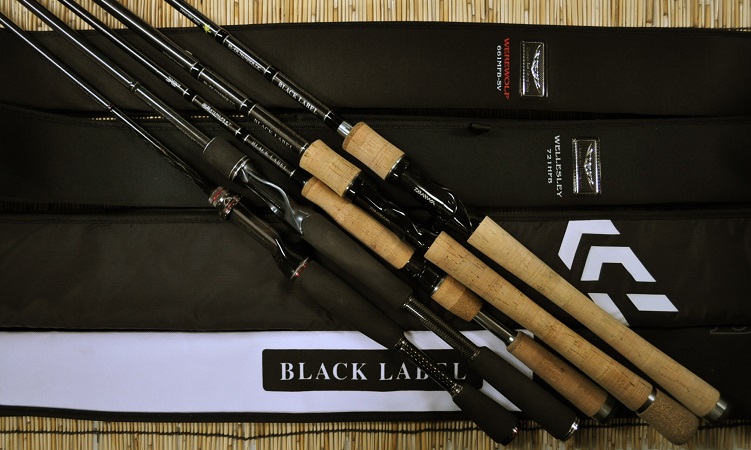 2016年6月29日入荷情報