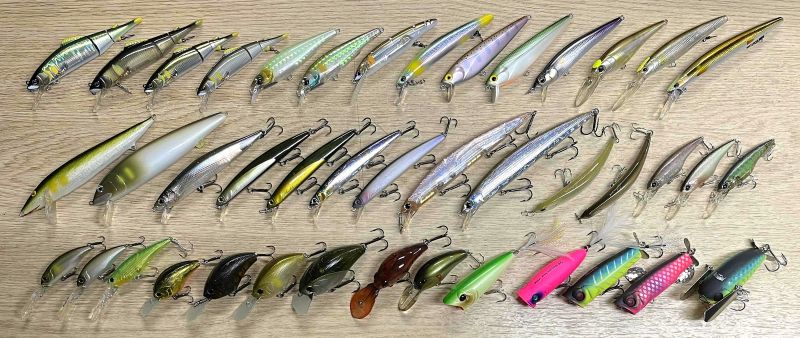 2025年8月9日入荷情報