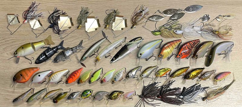 2025年8月17日入荷情報