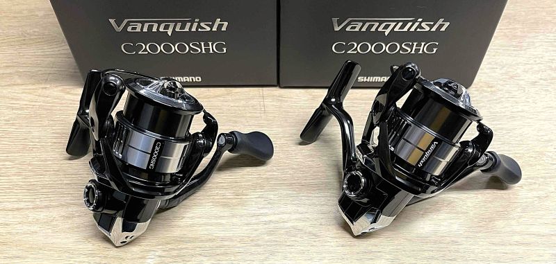 2025年8月29日入荷情報