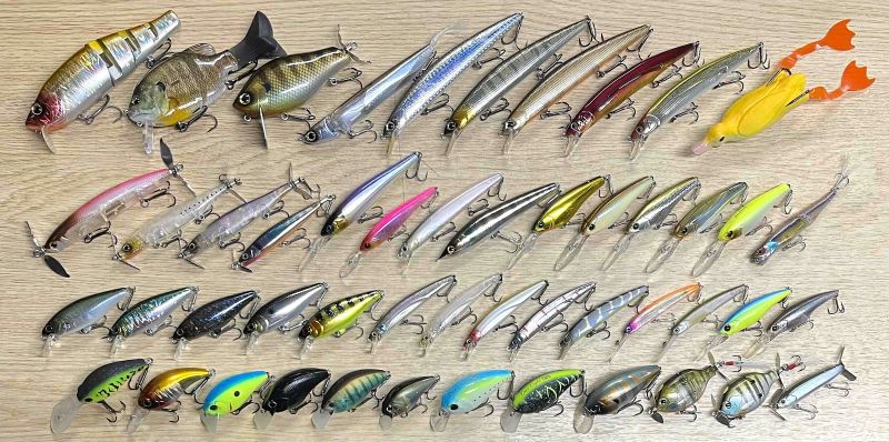 2025年9月7日入荷情報