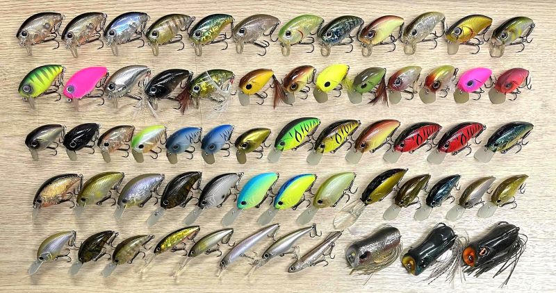 2025年9月22日入荷情報