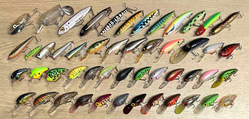 2025年11月22日入荷情報