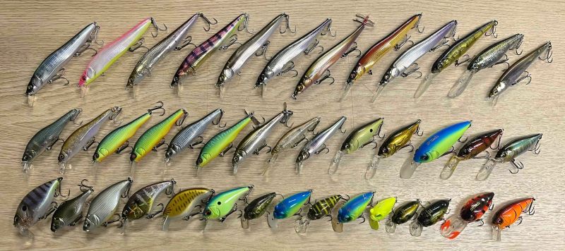 2026年1月24日入荷情報