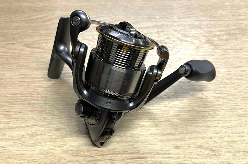 2026年2月1日入荷情報