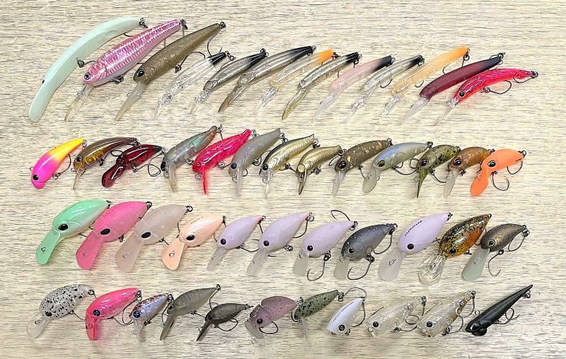 2026年2月2日入荷情報