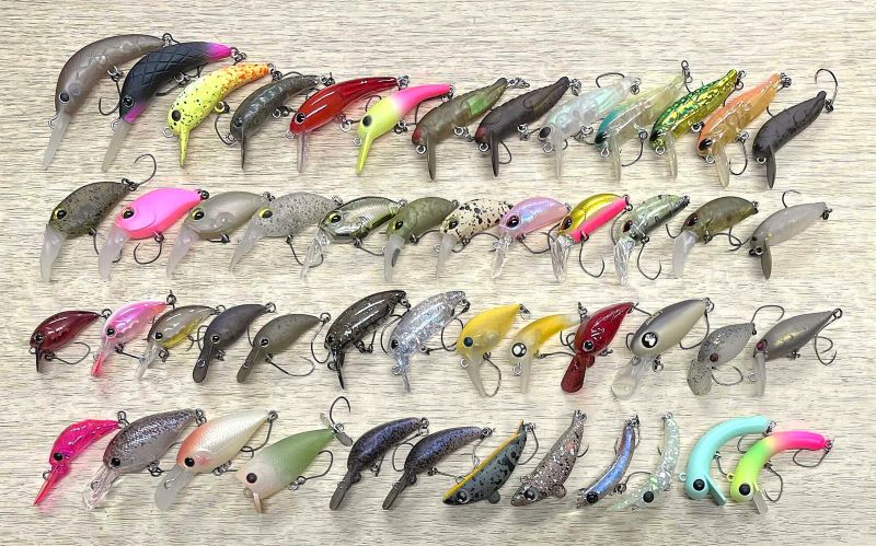 2026年2月9日入荷情報