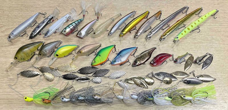 2026年2月14日入荷情報